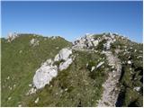 Zadnji travnik - Govca (Olševa)